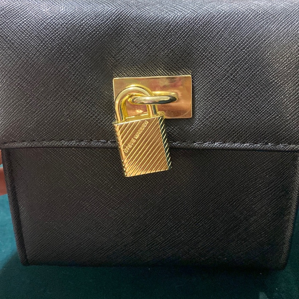 Steve Madden small bag
